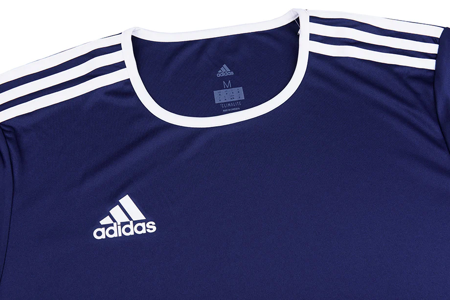 Camiseta Hombre adidas Entrada 18 Manga Corta - CF1036 - azul marino - Imagen 5