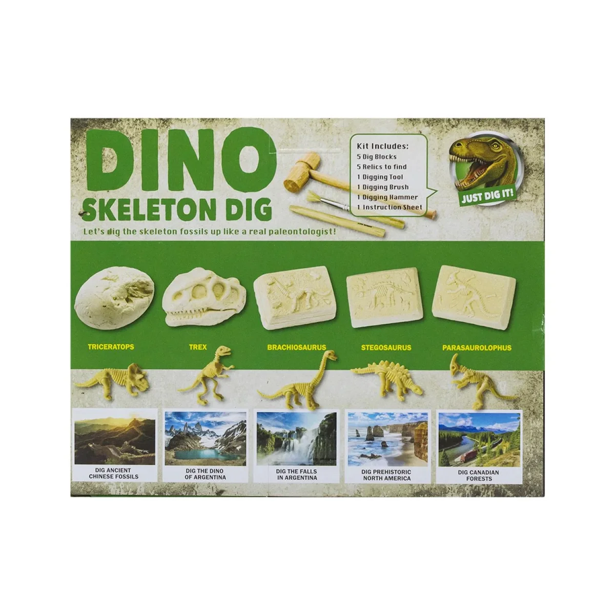 Kit Excavación 5 en 1 Dinosaurios Fósiles Arqueología - Imagen 6